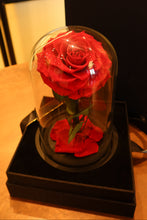 Load image into Gallery viewer, JMV12
